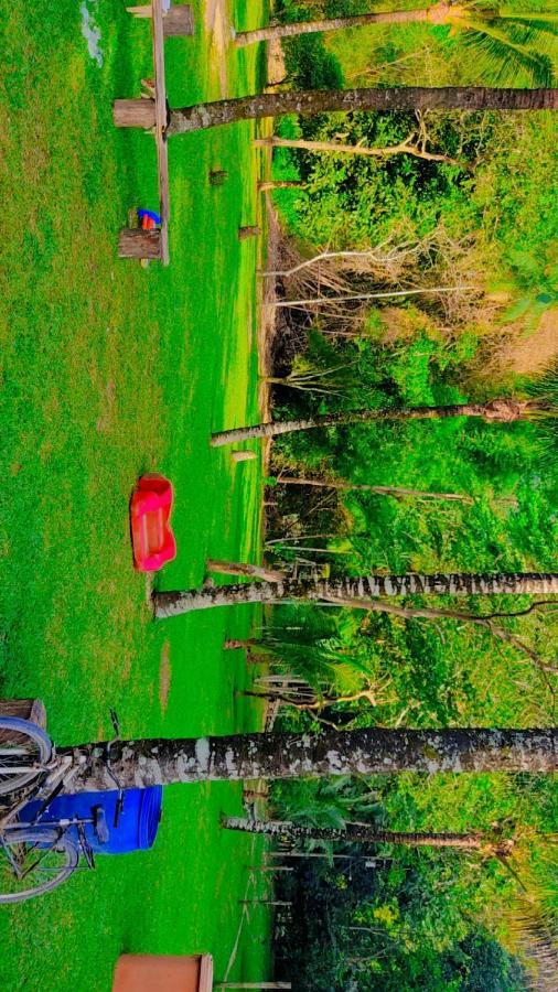 Parati Casa Dış mekan fotoğraf