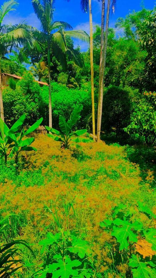 Parati Casa Dış mekan fotoğraf